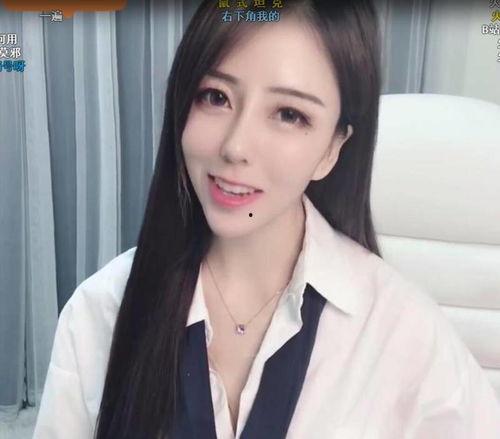印尼巴士模拟器国产车辆模组 
