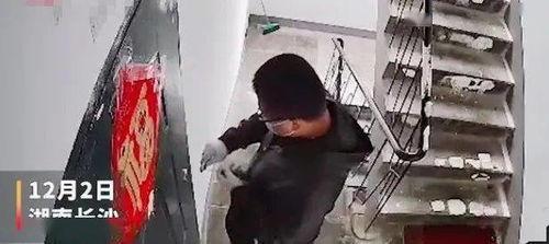 印尼巴士模拟器国产车辆模组 